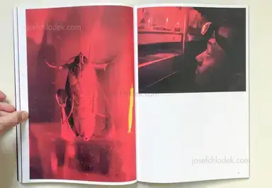 Sample page 4 for book "Jansen, Jos – Jos Jansen - Universe / Facts in the post-truth era" Sample page 4 for book "Jansen, Jos – Jos Jansen - Universe / Facts in the post-truth era"