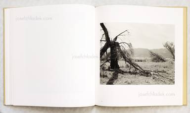 Sample page 6 for book  Robert Adams – Tree Line