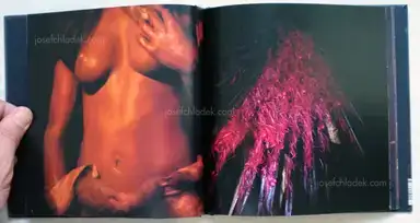 Sample page 9 for book "Rio Branco, Miguel – Miguel Rio Branco - Silent Book (first edition)" Sample page 9 for book "Rio Branco, Miguel – Miguel Rio Branco - Silent Book (first edition)"