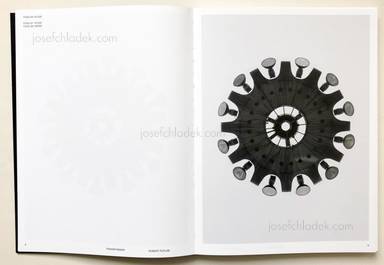 Sample page 16 for book "Pufleb, Robert – Robert Pufleb - TRANSFORMER" Sample page 16 for book "Pufleb, Robert – Robert Pufleb - TRANSFORMER"