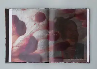 Sample page 8 for book "del Pozo, Nadia – Nadia del Pozo - Vientre" Sample page 8 for book "del Pozo, Nadia – Nadia del Pozo - Vientre"