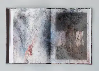 Sample page 1 for book "del Pozo, Nadia – Nadia del Pozo - Vientre" Sample page 1 for book "del Pozo, Nadia – Nadia del Pozo - Vientre"