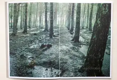 Sample page 17 for book "Strobl, Rudolf – Rudolf Strobl - dye" Sample page 17 for book "Strobl, Rudolf – Rudolf Strobl - dye"