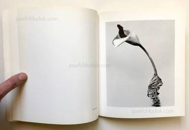 Sample page 5 for book  Joan Fontcuberta – Herbarium