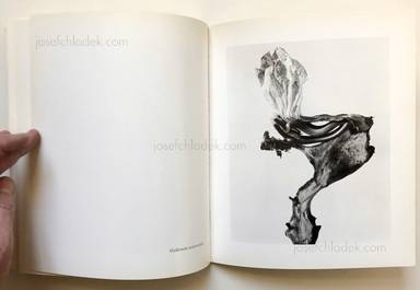 Sample page 7 for book  Joan Fontcuberta – Herbarium