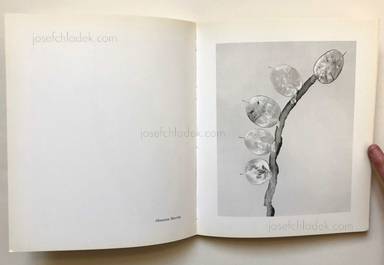 Sample page 11 for book  Joan Fontcuberta – Herbarium