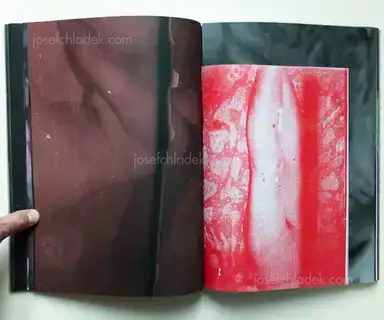 Sample page 12 for book "Pin-Fat, Olivier – Olivier Pin-Fat - Meat" Sample page 12 for book "Pin-Fat, Olivier – Olivier Pin-Fat - Meat"