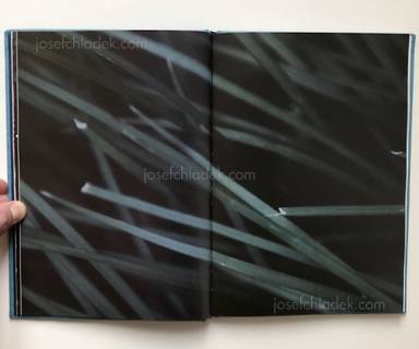 Sample page 4 for book Xia Boqian &ndash; Cupboard memories