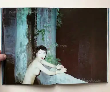 Sample page 13 for book "Boqian, Xia – Xia Boqian - Cupboard memories" Sample page 13 for book "Boqian, Xia – Xia Boqian - Cupboard memories"