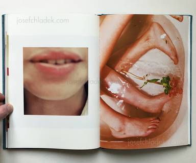 Sample page 13 for book Xia Boqian &ndash; Cupboard memories