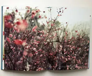 Sample page 4 for book "Boqian, Xia – Xia Boqian - Cupboard memories" Sample page 4 for book "Boqian, Xia – Xia Boqian - Cupboard memories"