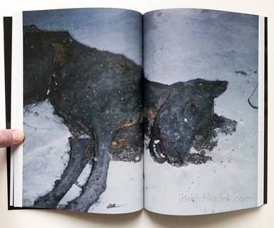 Sample page 11 for book "Zinsler, Georg – Georg Zinsler - The Sentinel Script" Sample page 11 for book "Zinsler, Georg – Georg Zinsler - The Sentinel Script"