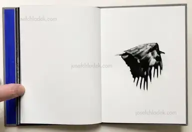 Sample page 2 for book "Sandberg, Leif – Leif Sandberg - Beyond the Mirror" Sample page 2 for book "Sandberg, Leif – Leif Sandberg - Beyond the Mirror"