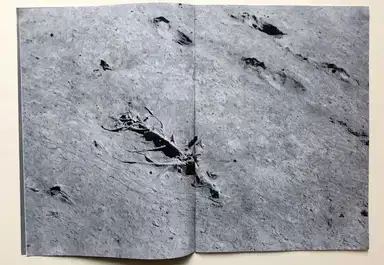 Sample page 8 for book "Various – Various - МЫ / WE №16" Sample page 8 for book "Various – Various - МЫ / WE №16"