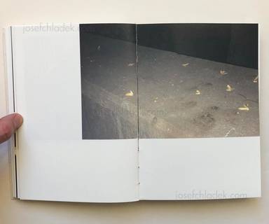 Sample page 16 for book Martina Koro&scaron;ec &ndash; The Red Thread