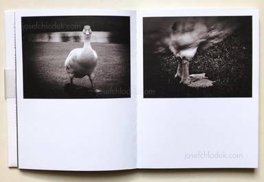 Sample page 16 for book "Anzenberger, Regina – Regina Anzenberger - goosewalk" Sample page 16 for book "Anzenberger, Regina – Regina Anzenberger - goosewalk"