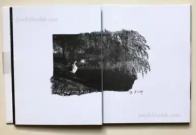 Sample page 12 for book "Anzenberger, Regina – Regina Anzenberger - goosewalk" Sample page 12 for book "Anzenberger, Regina – Regina Anzenberger - goosewalk"