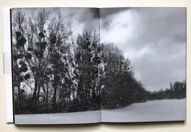 Sample page 11 for book "Anzenberger, Regina – Regina Anzenberger - goosewalk" Sample page 11 for book "Anzenberger, Regina – Regina Anzenberger - goosewalk"