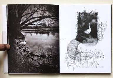 Sample page 10 for book "Anzenberger, Regina – Regina Anzenberger - goosewalk" Sample page 10 for book "Anzenberger, Regina – Regina Anzenberger - goosewalk"