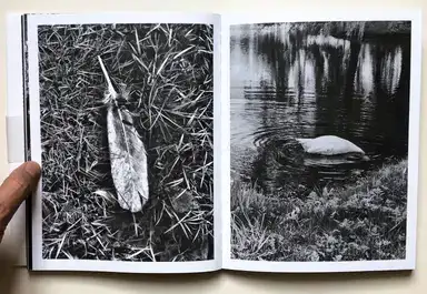 Sample page 8 for book "Anzenberger, Regina – Regina Anzenberger - goosewalk" Sample page 8 for book "Anzenberger, Regina – Regina Anzenberger - goosewalk"