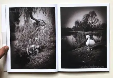 Sample page 6 for book "Anzenberger, Regina – Regina Anzenberger - goosewalk" Sample page 6 for book "Anzenberger, Regina – Regina Anzenberger - goosewalk"