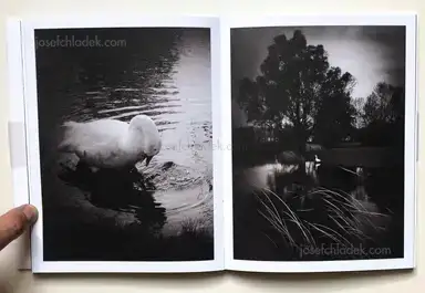 Sample page 5 for book "Anzenberger, Regina – Regina Anzenberger - goosewalk" Sample page 5 for book "Anzenberger, Regina – Regina Anzenberger - goosewalk"