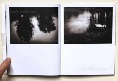 Sample page 2 for book "Anzenberger, Regina – Regina Anzenberger - goosewalk" Sample page 2 for book "Anzenberger, Regina – Regina Anzenberger - goosewalk"