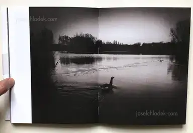 Sample page 1 for book "Anzenberger, Regina – Regina Anzenberger - goosewalk" Sample page 1 for book "Anzenberger, Regina – Regina Anzenberger - goosewalk"