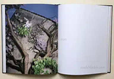 Sample page 3 for book "Thiery, Bastian – Bastian Thiery - Humpelfuchs" Sample page 3 for book "Thiery, Bastian – Bastian Thiery - Humpelfuchs"