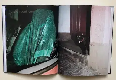 Sample page 2 for book "Thiery, Bastian – Bastian Thiery - Humpelfuchs" Sample page 2 for book "Thiery, Bastian – Bastian Thiery - Humpelfuchs"