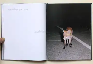 Sample page 12 for book "Thiery, Bastian – Bastian Thiery - Humpelfuchs" Sample page 12 for book "Thiery, Bastian – Bastian Thiery - Humpelfuchs"