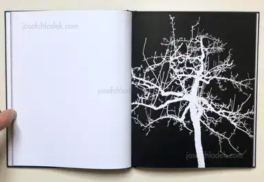 Sample page 11 for book "Thiery, Bastian – Bastian Thiery - Humpelfuchs" Sample page 11 for book "Thiery, Bastian – Bastian Thiery - Humpelfuchs"