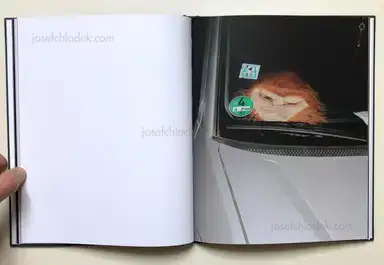 Sample page 9 for book "Thiery, Bastian – Bastian Thiery - Humpelfuchs" Sample page 9 for book "Thiery, Bastian – Bastian Thiery - Humpelfuchs"