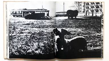 Sample page 19 for book "Carrieri, Mario – Mario Carrieri - Milano, Italia" Sample page 19 for book "Carrieri, Mario – Mario Carrieri - Milano, Italia"