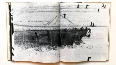 Sample page 10 for book "Carrieri, Mario – Mario Carrieri - Milano, Italia" Sample page 10 for book "Carrieri, Mario – Mario Carrieri - Milano, Italia"