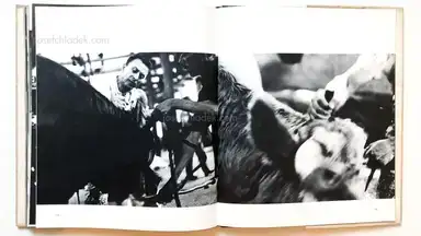 Sample page 5 for book "Carrieri, Mario – Mario Carrieri - Milano, Italia" Sample page 5 for book "Carrieri, Mario – Mario Carrieri - Milano, Italia"