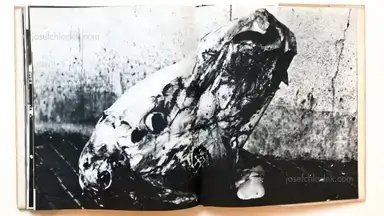 Sample page 4 for book "Carrieri, Mario – Mario Carrieri - Milano, Italia" Sample page 4 for book "Carrieri, Mario – Mario Carrieri - Milano, Italia"