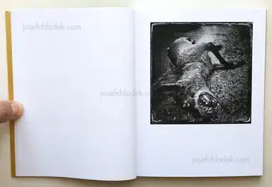 Sample page 9 for book "Hoffman, Benjamin – Benjamin Hoffman - Au Bord" Sample page 9 for book "Hoffman, Benjamin – Benjamin Hoffman - Au Bord"