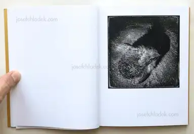 Sample page 7 for book "Hoffman, Benjamin – Benjamin Hoffman - Au Bord" Sample page 7 for book "Hoffman, Benjamin – Benjamin Hoffman - Au Bord"