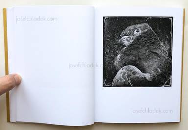 Sample page 6 for book Benjamin Hoffman – Au Bord