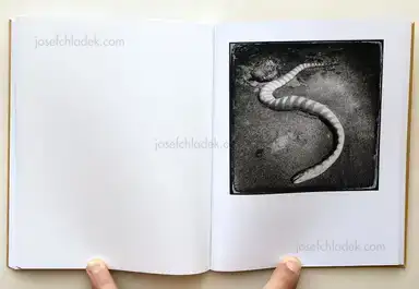 Sample page 3 for book "Hoffman, Benjamin – Benjamin Hoffman - Au Bord" Sample page 3 for book "Hoffman, Benjamin – Benjamin Hoffman - Au Bord"