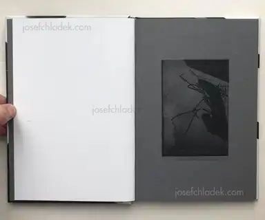 Sample page 11 for book "Amaya, Camilo – Camilo Amaya - In/Signe" Sample page 11 for book "Amaya, Camilo – Camilo Amaya - In/Signe"