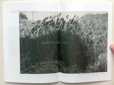 Sample page 1 for book "A-Chan – A-Chan - Y-31" Sample page 1 for book "A-Chan – A-Chan - Y-31"