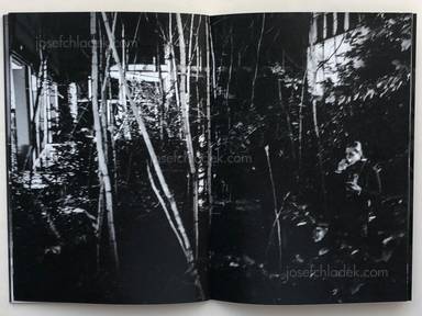 Sample page 5 for book "Reister, Christian – Christian Reister - Driftwood No.9 | Berlin" Sample page 5 for book "Reister, Christian – Christian Reister - Driftwood No.9 | Berlin"