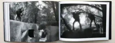 Sample page 5 for book "Trapezin, Sergey – Sergey Trapezin - In Ravine" Sample page 5 for book "Trapezin, Sergey – Sergey Trapezin - In Ravine"