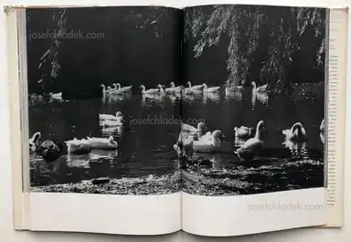 Sample page 7 for book "Rimkus, Edith – Edith Rimkus - Erntesommer. Mit der Kamera auf einem Volksgut." Sample page 7 for book "Rimkus, Edith – Edith Rimkus - Erntesommer. Mit der Kamera auf einem Volksgut."