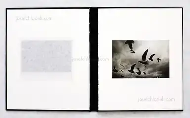 Sample page 10 for book "Sarello, Mateusz – Mateusz Sarello - Swell" Sample page 10 for book "Sarello, Mateusz – Mateusz Sarello - Swell"