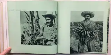Sample page 8 for book "Stickstoffwerke Aktiengesellschaft, Österreichische – Österreichische Stickstoffwerke Aktiengesellschaft - Die 4 Elemente" Sample page 8 for book "Stickstoffwerke Aktiengesellschaft, Österreichische – Österreichische Stickstoffwerke Aktiengesellschaft - Die 4 Elemente"