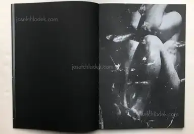 Sample page 15 for book "Dede, Dimitra – Dimitra Dede - Mayflies" Sample page 15 for book "Dede, Dimitra – Dimitra Dede - Mayflies"