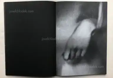 Sample page 13 for book "Dede, Dimitra – Dimitra Dede - Mayflies" Sample page 13 for book "Dede, Dimitra – Dimitra Dede - Mayflies"